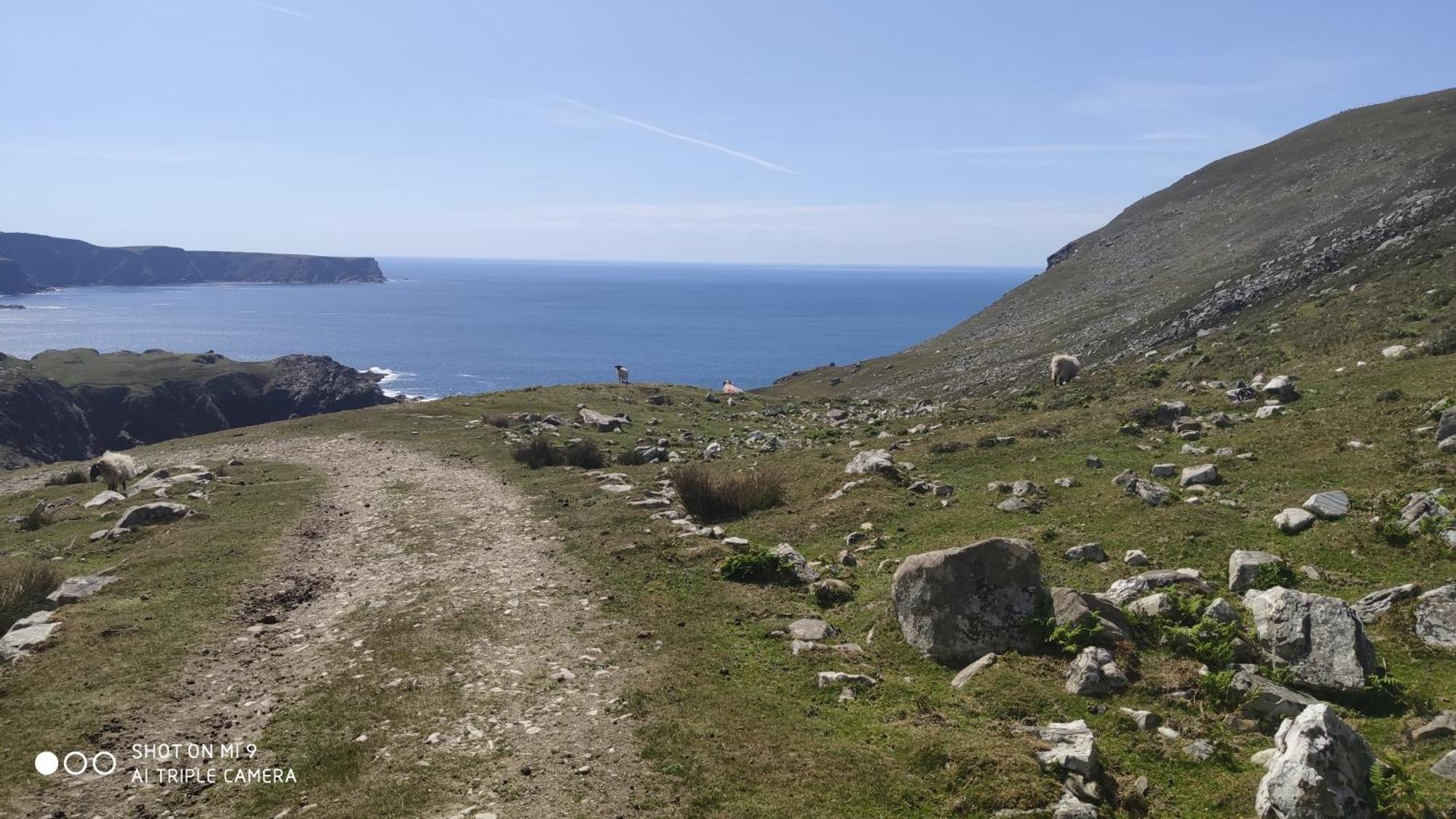 John Eoinin'S Bar And Accommodation Glencolumbkille Eksteriør billede